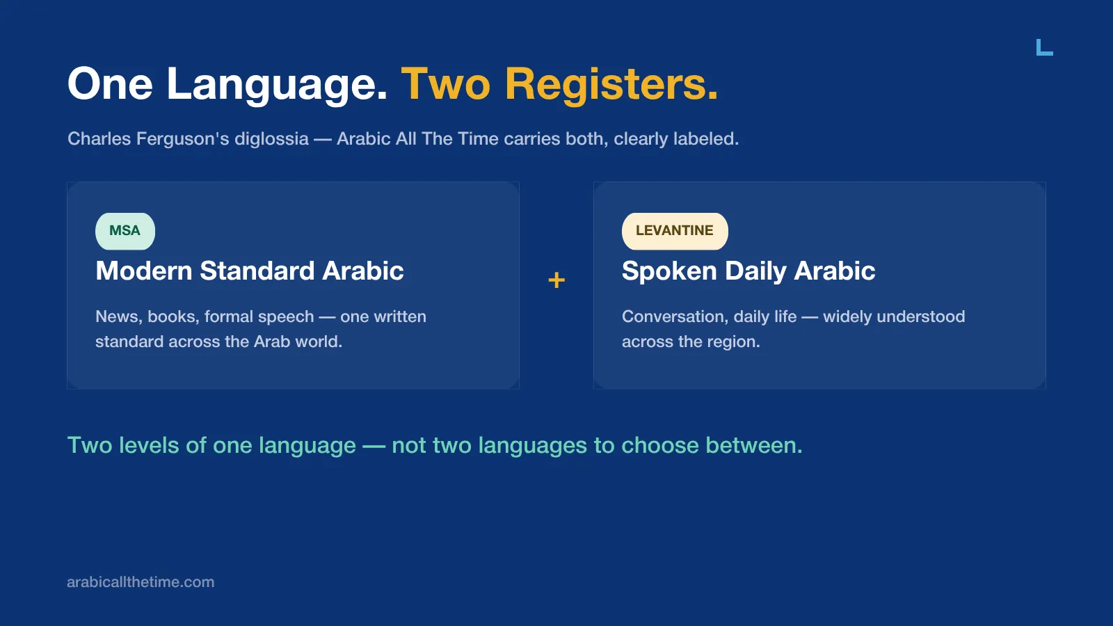 Infographic explaining Arabic diglossia, detailing the difference between Modern Standard Arabic for formal use and Levantine Arabic for daily conversation.