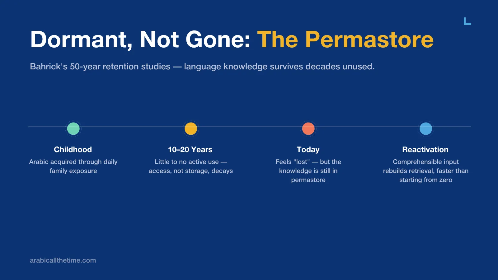 Timeline illustrating Bahrick's Permastore concept, showing how dormant Arabic language knowledge from childhood can be reactivated over time